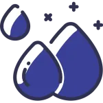 Cholestérol