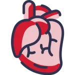 Maladie cardiaque