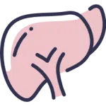 Hépatite