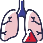 Voies respiratoires