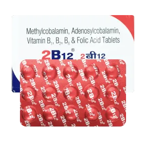 2B12 2B12