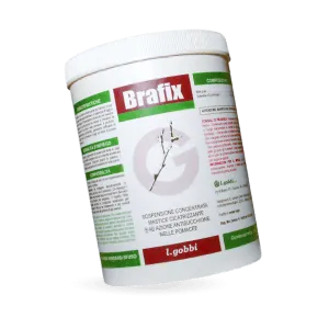 Brafix Brafix