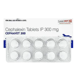 Cephavet Cephavet