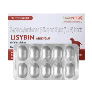 Lisybin Medium Lisybin Medium